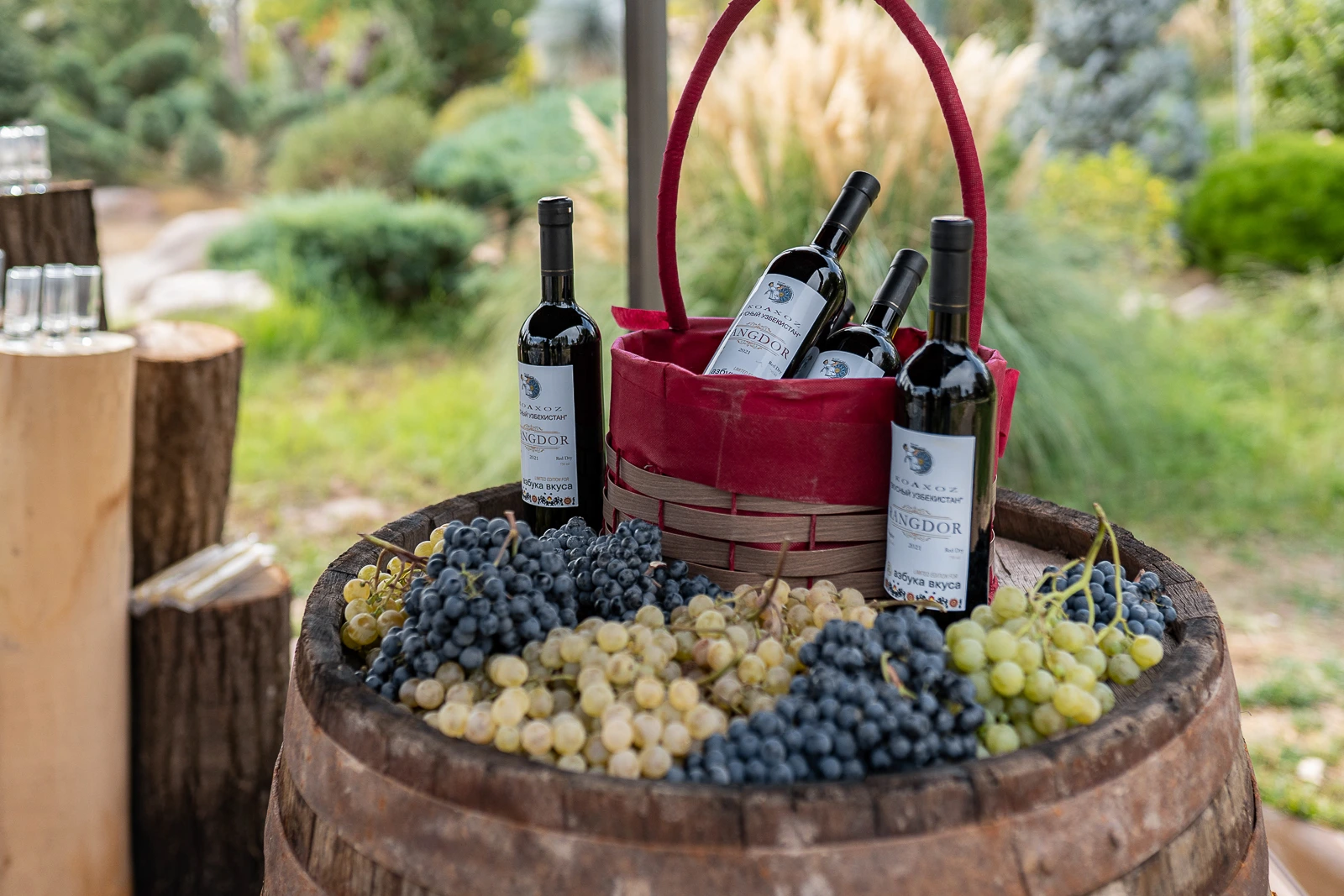 Dégustation de vin à Samarcande